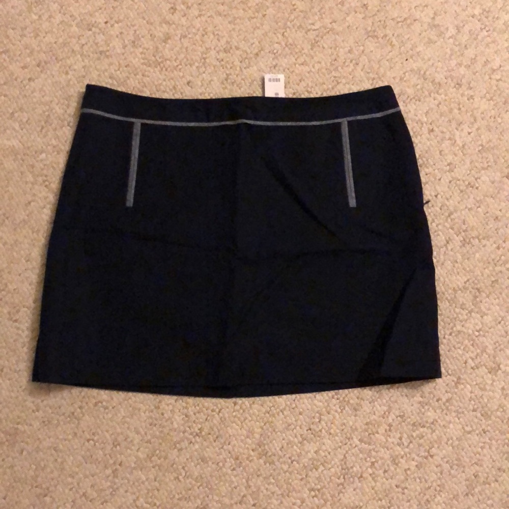 Blue The Limited mini skirt